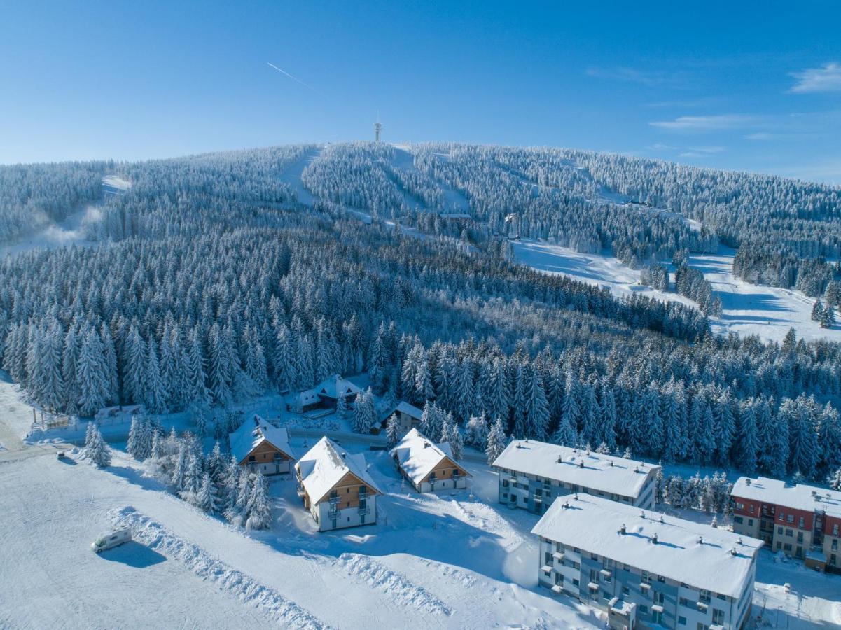 Ski Chalet Klínovec Loucná pod Klínovcem Exterior foto