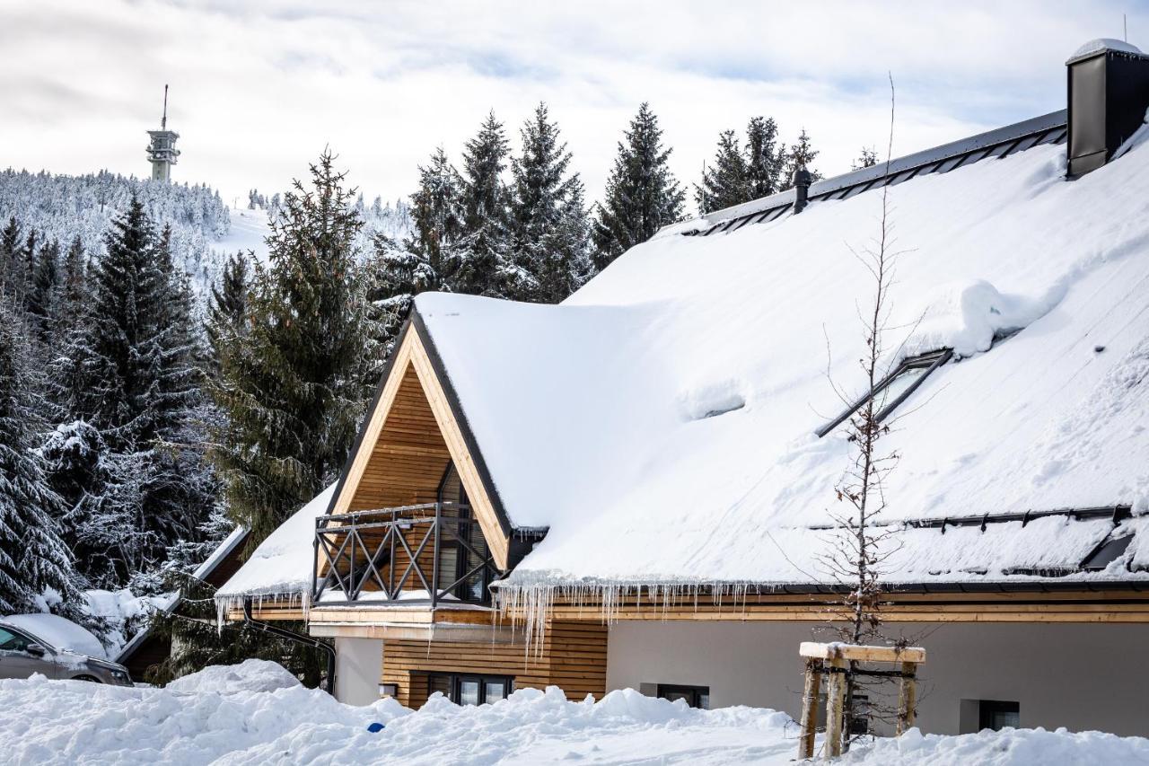 Ski Chalet Klínovec Loucná pod Klínovcem Exterior foto