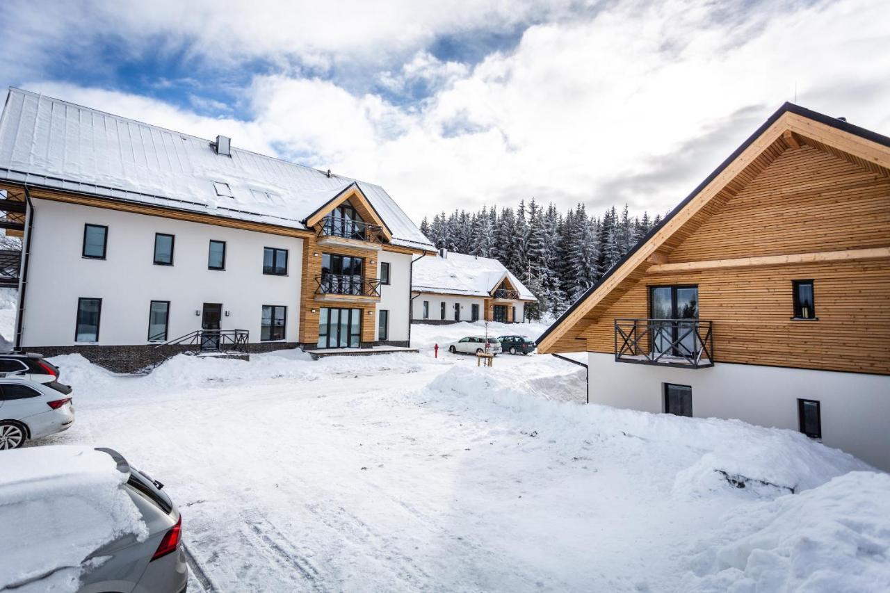 Ski Chalet Klínovec Loucná pod Klínovcem Exterior foto