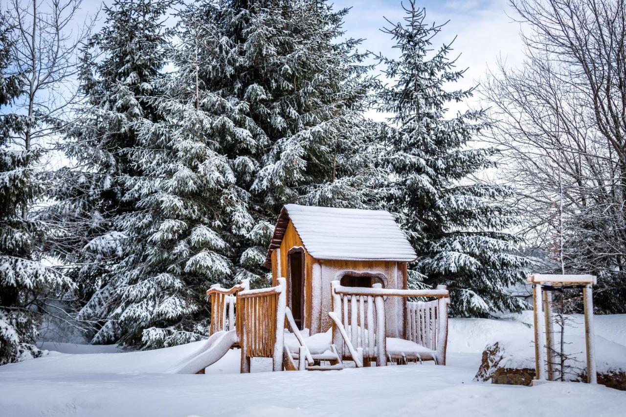 Ski Chalet Klínovec Loucná pod Klínovcem Exterior foto