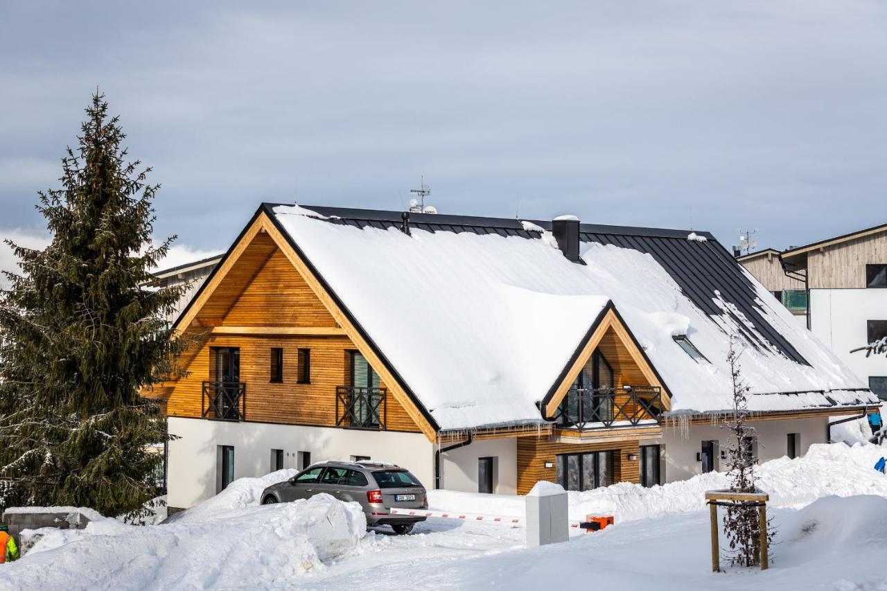 Ski Chalet Klínovec Loucná pod Klínovcem Exterior foto