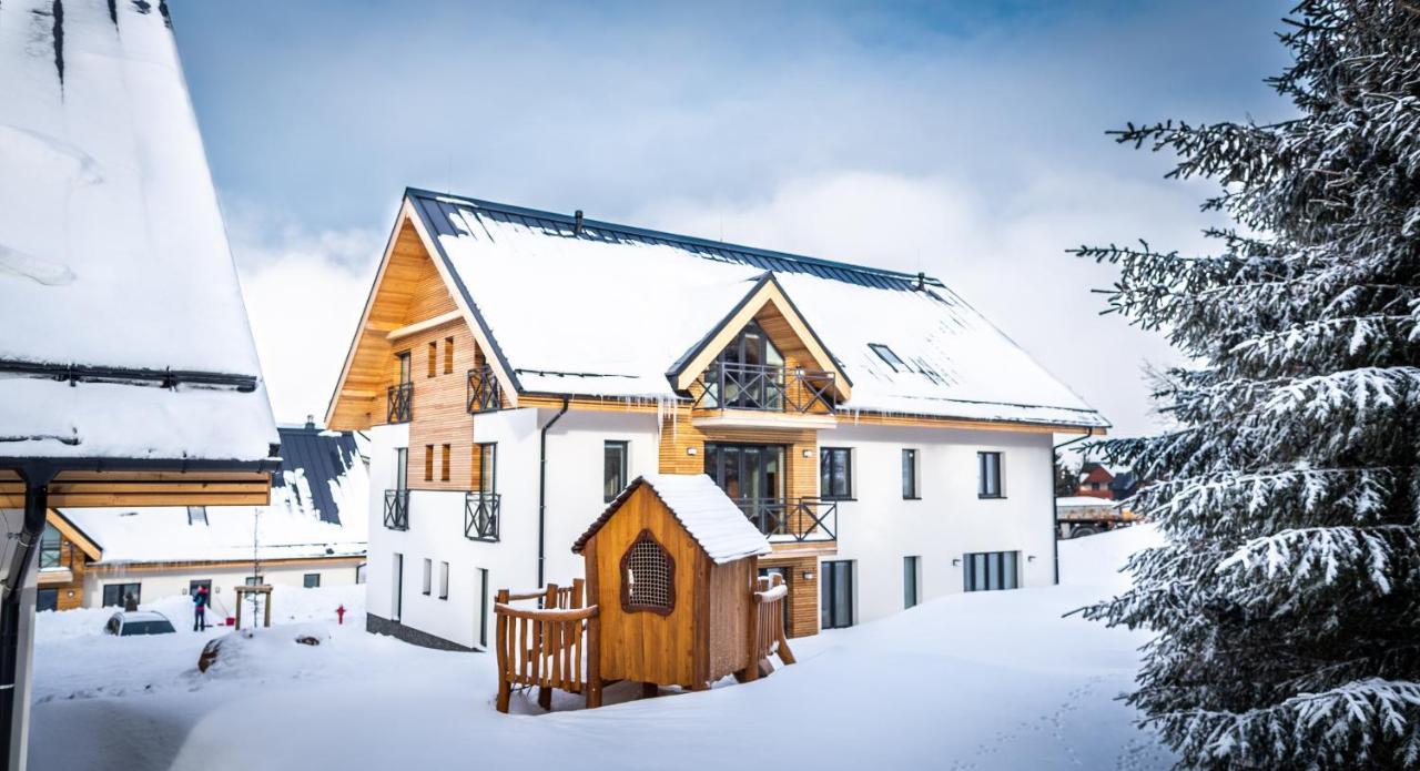 Ski Chalet Klínovec Loucná pod Klínovcem Exterior foto