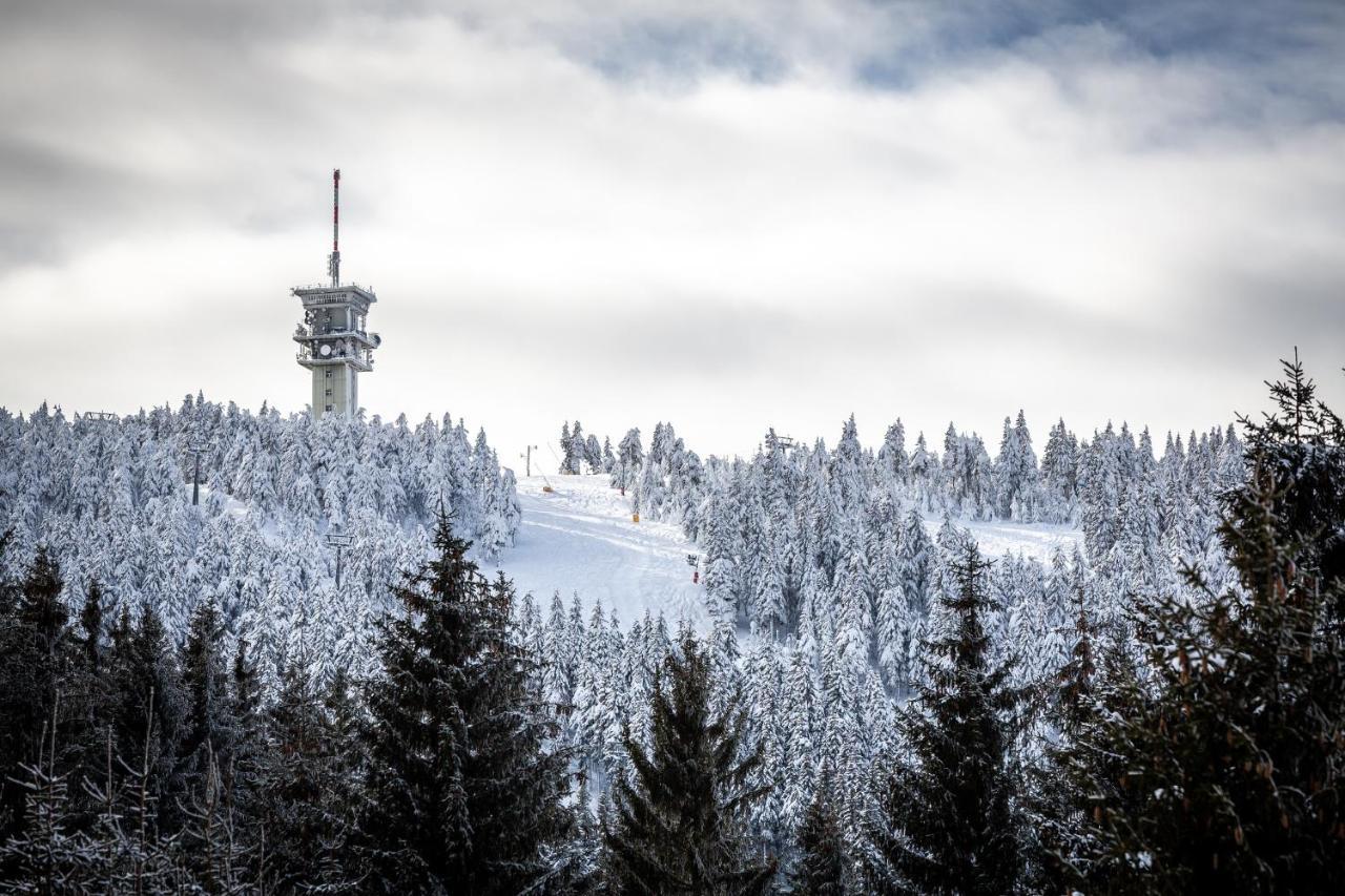 Ski Chalet Klínovec Loucná pod Klínovcem Exterior foto