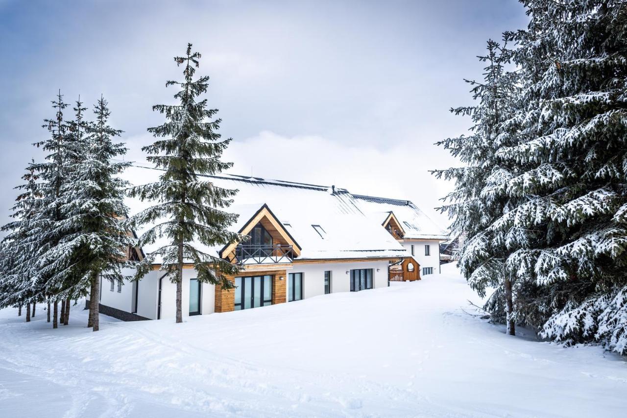 Ski Chalet Klínovec Loucná pod Klínovcem Exterior foto