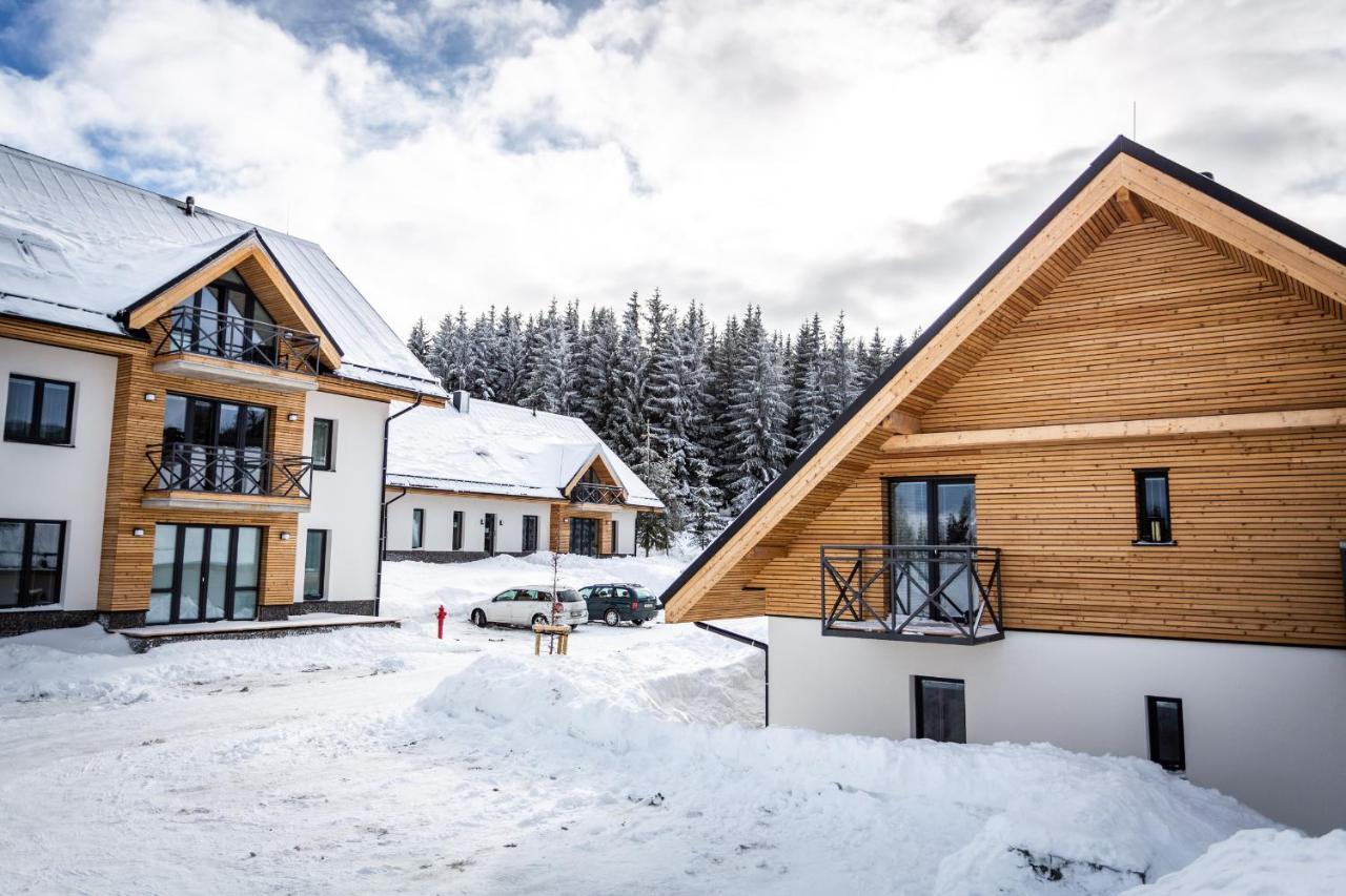 Ski Chalet Klínovec Loucná pod Klínovcem Exterior foto